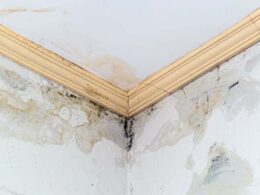 Construtor obrigado a reparar prédio com infiltrações em caminha