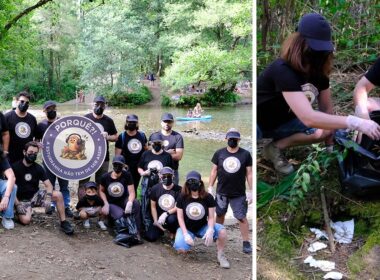 Voluntários limpam lixo em "paraíso secreto" que se tornou popular em viana do castelo