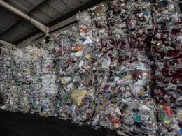 Associação ambientalista apresenta prioridades para redução de embalagens