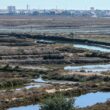Portugal tem hoje nove reservas naturais após a criação da primeira há 50 anos
