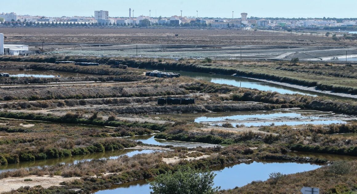 Portugal tem hoje nove reservas naturais após a criação da primeira há 50 anos