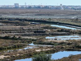 Portugal tem hoje nove reservas naturais após a criação da primeira há 50 anos
