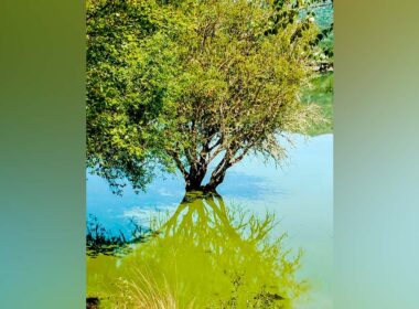 Be quer saber se contaminação do rio lima já chegou ao parque nacional da peneda-gerês