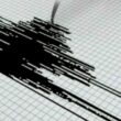 Sismo sentido no continente