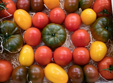 Do benfica ao mama rosa. Portugal tem mais de 230 variedades de tomate
