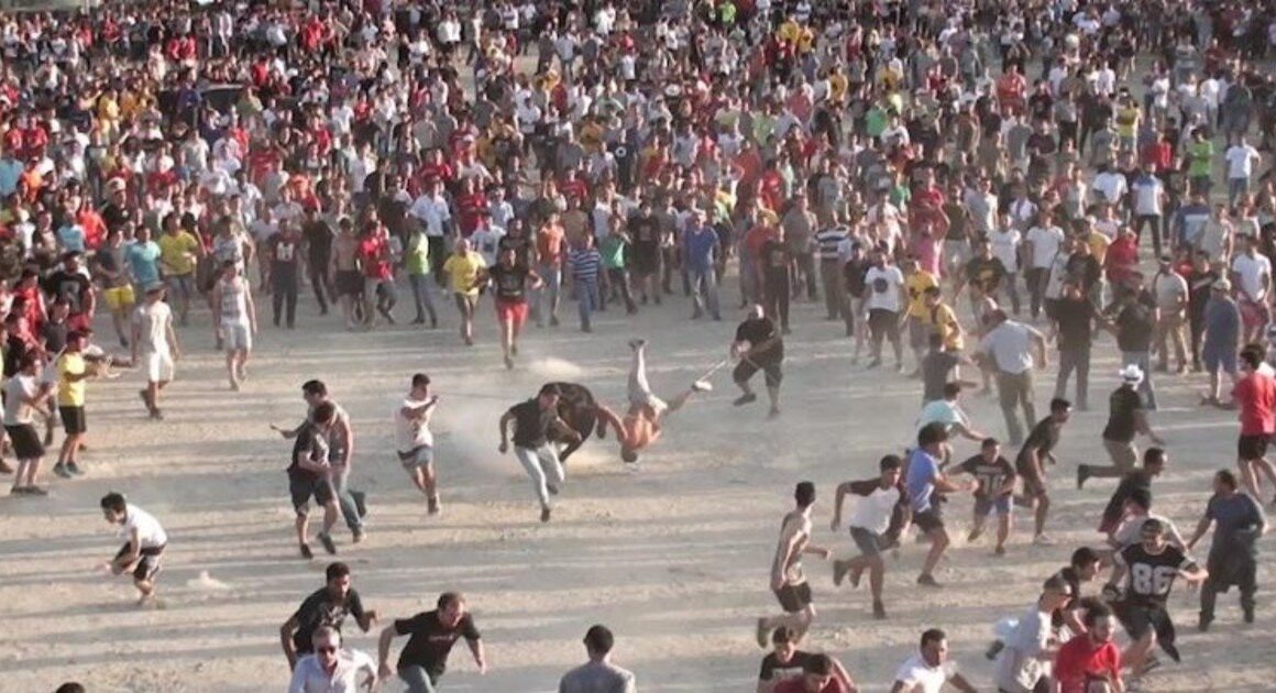 Pan pede fiscalização da "vaca das cordas" de ponte de lima: "não é tradição. É crueldade"