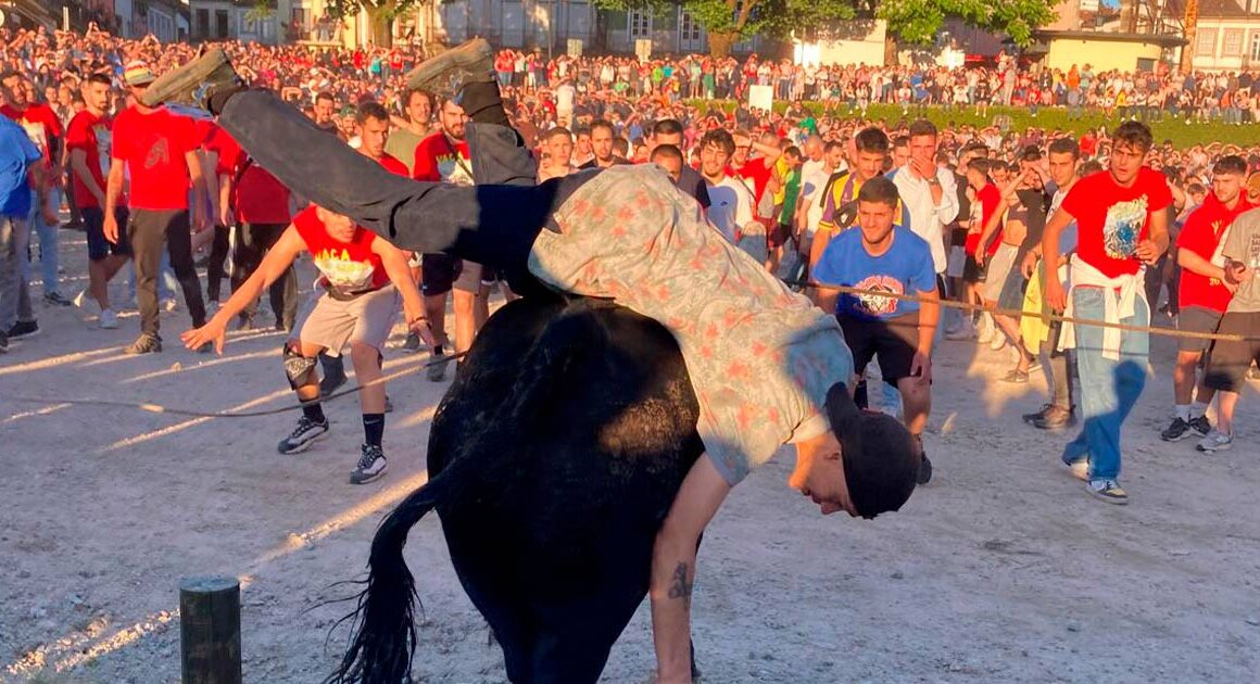 Vaca das cordas andou à solta no centro de ponte de lima