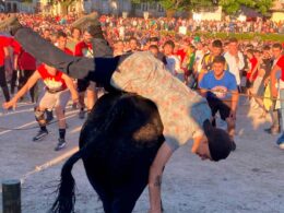 Vaca das cordas andou à solta no centro de ponte de lima