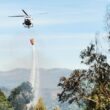 Incêndio em arcos de valdevez já está dominado