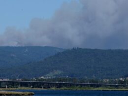 Incêndio em ponte de lima dominado e em fase de resolução