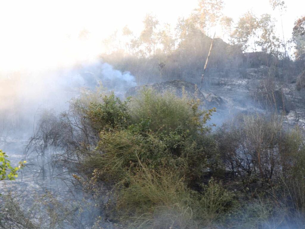 Bombeiro ferido durante incêndio em fafe 9 Bombeiro ferido durante incêndio em fafe