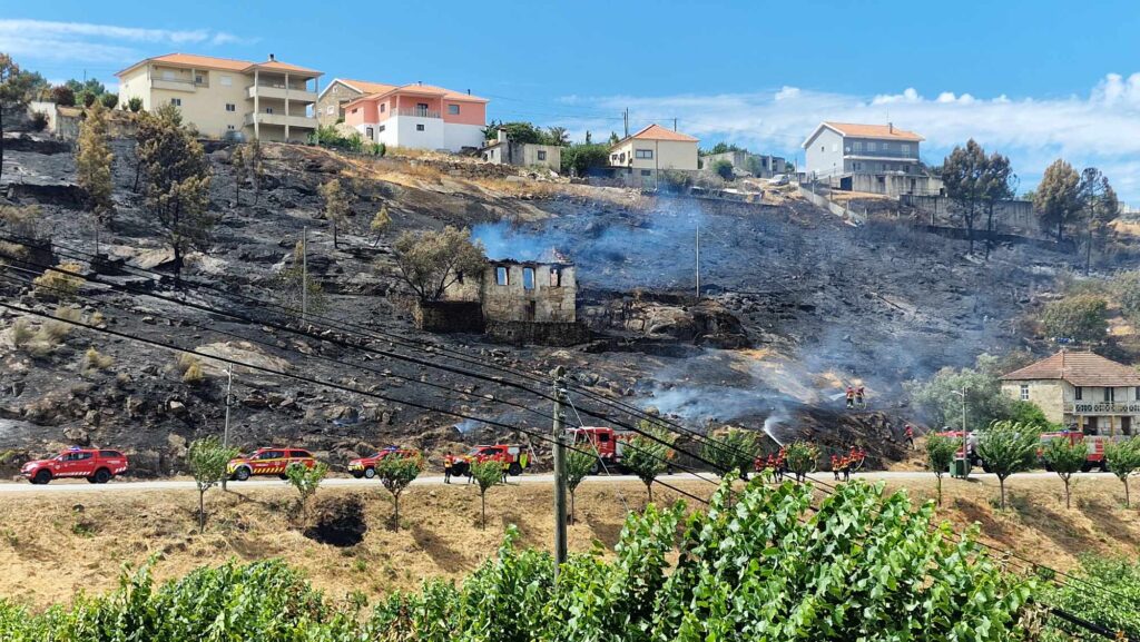 Grande incêndio em trás-os-montes dominado 7 Grande incêndio em trás-os-montes dominado