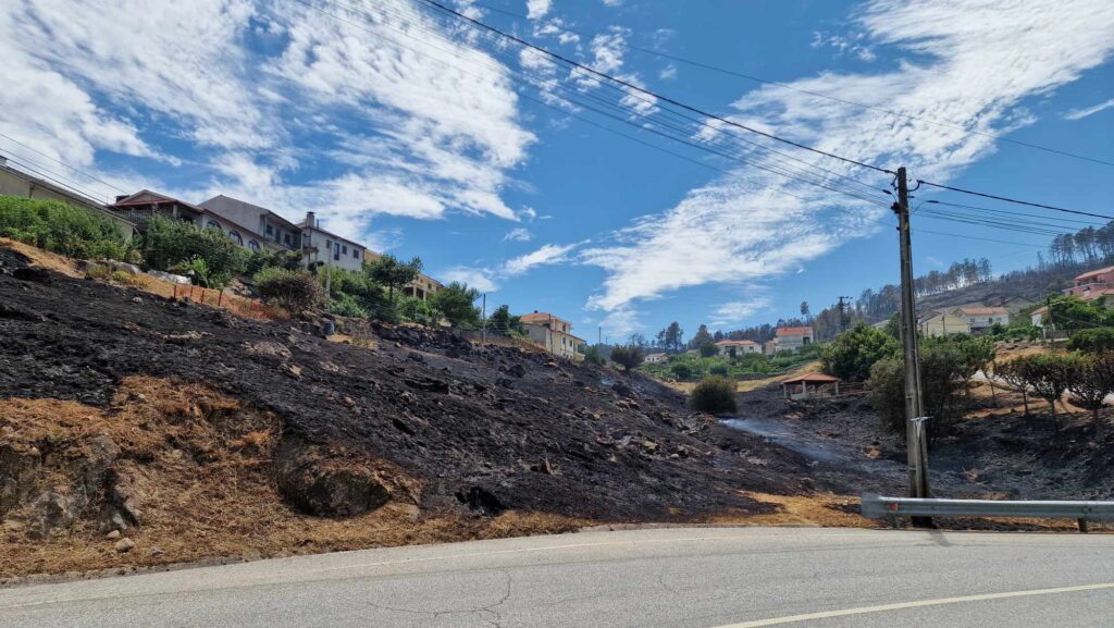 Grande incêndio em trás-os-montes dominado 6 Grande incêndio em trás-os-montes dominado