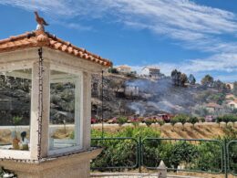 Grande incêndio em trás-os-montes dominado
