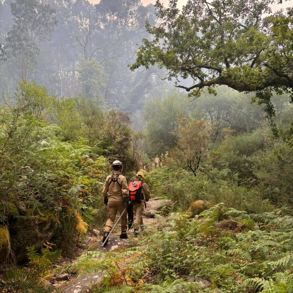 Pnpg: incêndio no lindoso dado como extinto