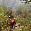 Pnpg: incêndio no lindoso dado como extinto