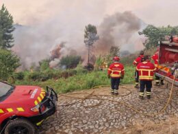 Grande incêndio em trás-os-montes dominado