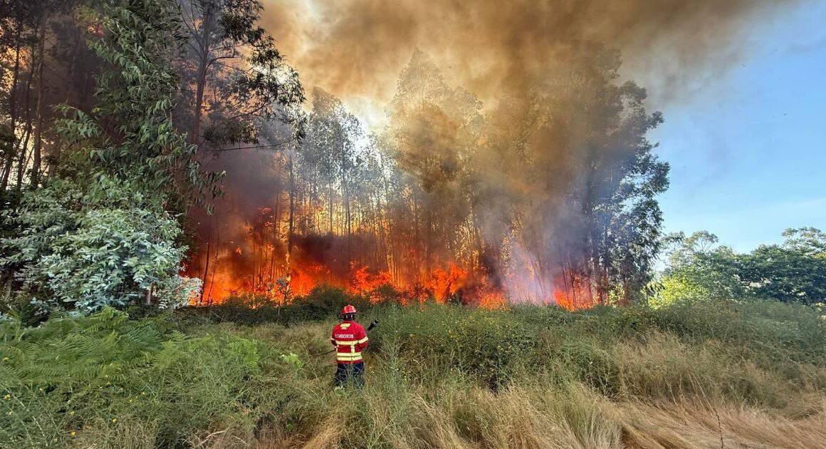 "porquê isto, arcos de valdevez? ", questiona comandante dos bombeiros