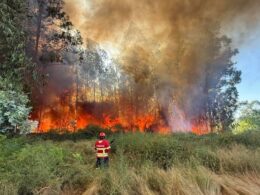 "porquê isto, arcos de valdevez? ", questiona comandante dos bombeiros