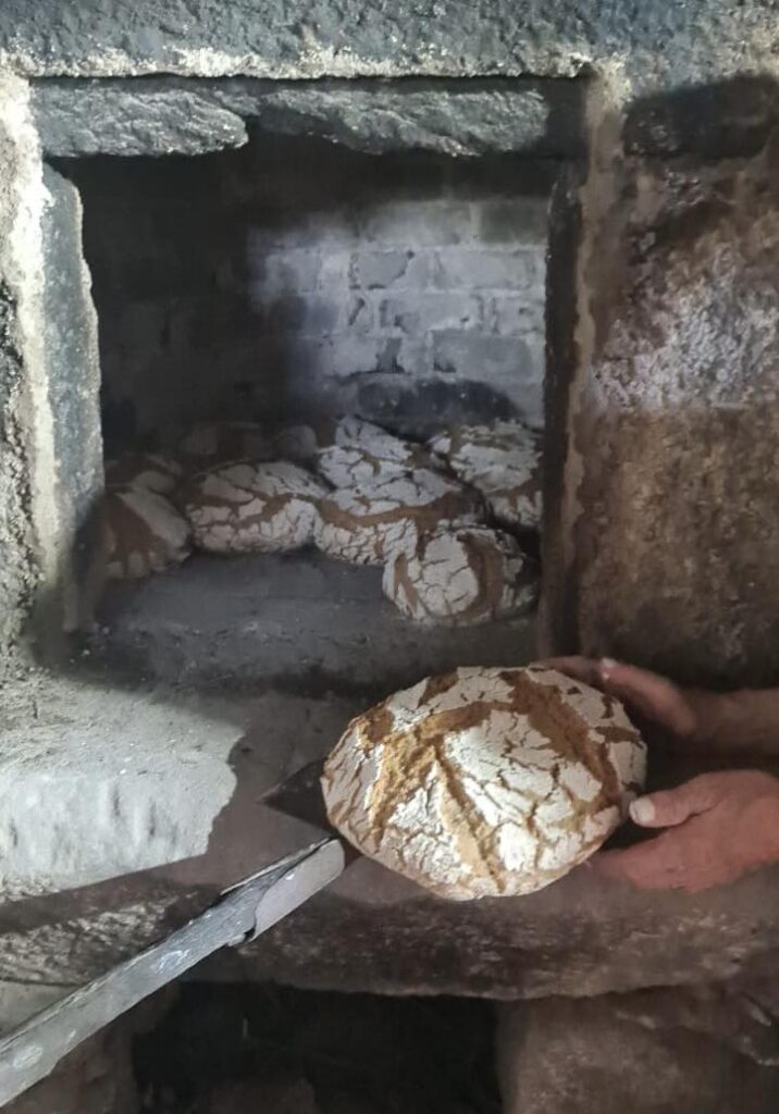 Aldeia em vieira do minho voltou a moer o milho e a cozer o pão 20 Aldeia em vieira do minho voltou a moer o milho e a cozer o pão
