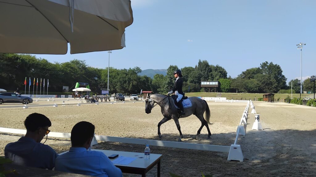 Ponte de lima é 'capital' do cavalo até domingo (em breve será vila equestre) 12 Ponte de lima é 'capital' do cavalo até domingo (em breve será vila equestre)