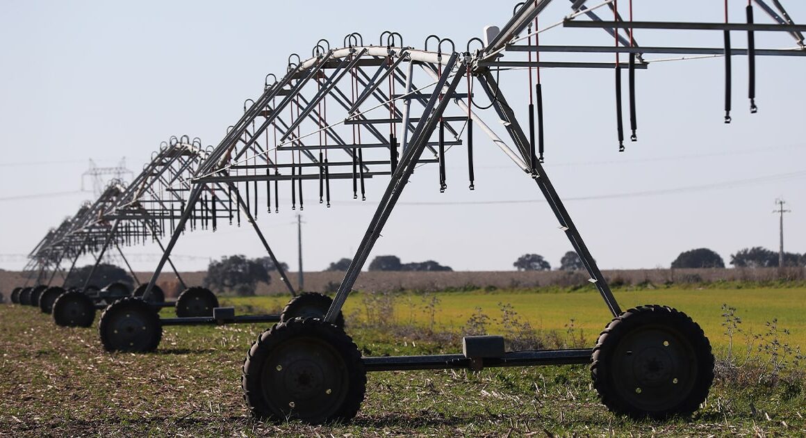 Apoios para sustentabilidade da agricultura com 45% de execução