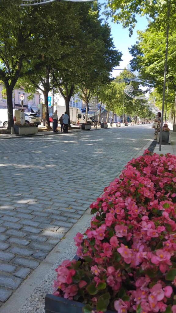 Alcatrão substituído por pedra tradicional na principal avenida de arcos de valdevez