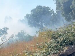 Incêndio no monte em braga