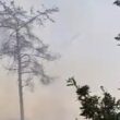 Meios aéreos espanhóis ajudam a combater grande incêndio no lindoso