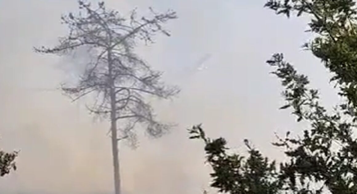 Meios aéreos espanhóis ajudam a combater grande incêndio no lindoso