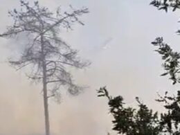Meios aéreos espanhóis ajudam a combater grande incêndio no lindoso