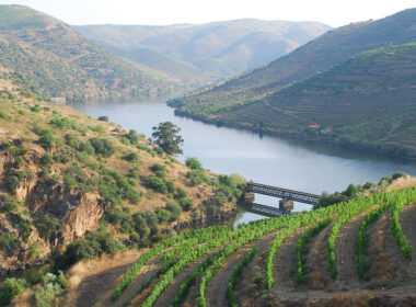 Douro reduz produção de vinho do porto para as 75 mil pipas