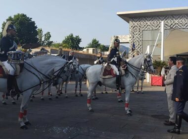 Ponte de lima é 'capital' do cavalo até domingo (em breve será vila equestre)