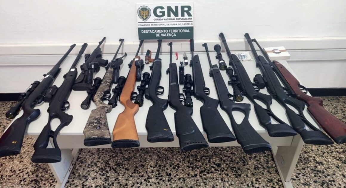 Apanhado com 'arsenal' de armas ilegais em valença