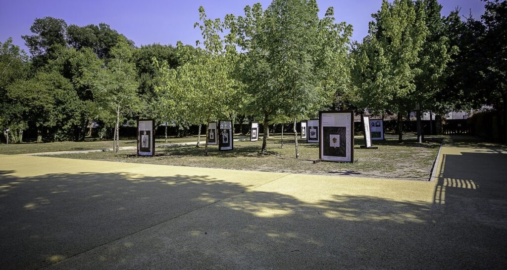 Crianças já podem voltar a brincar no parque ecológico de viana 15 Crianças já podem voltar a brincar no parque ecológico de viana