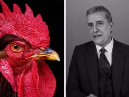 Peça de teatro que coloca galo de barcelos em confronto com salazar apresentada na califórnia