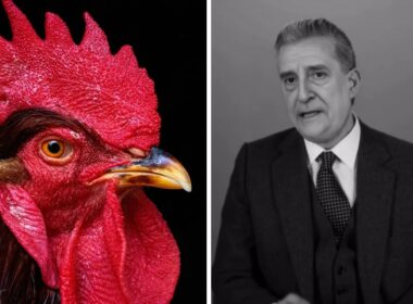 Peça de teatro que coloca galo de barcelos em confronto com salazar apresentada na califórnia