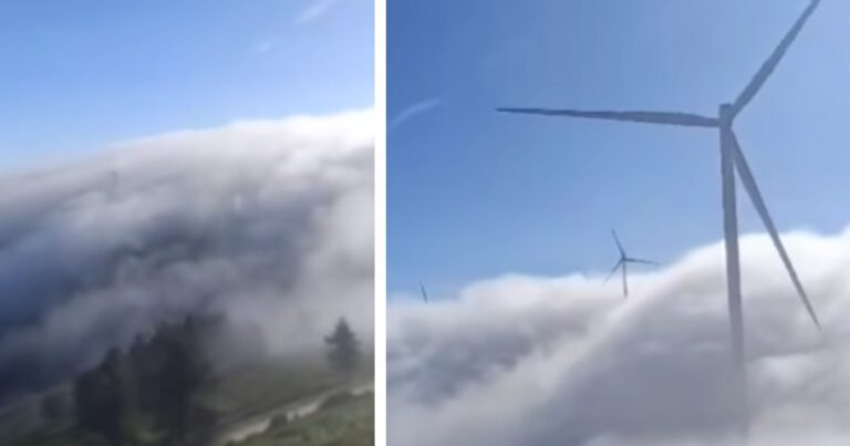 O ar marítimo subiu à montanha no alto minho e aconteceu isto