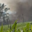 Dominado incêndio em rates na póvoa de varzim