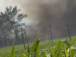 Dominado incêndio em rates na póvoa de varzim
