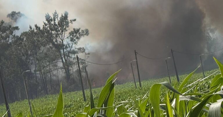 Dominado incêndio em rates na póvoa de varzim