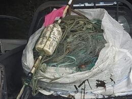 Rede de pesca com 1 quilómetro de comprimento apreendida em caminha