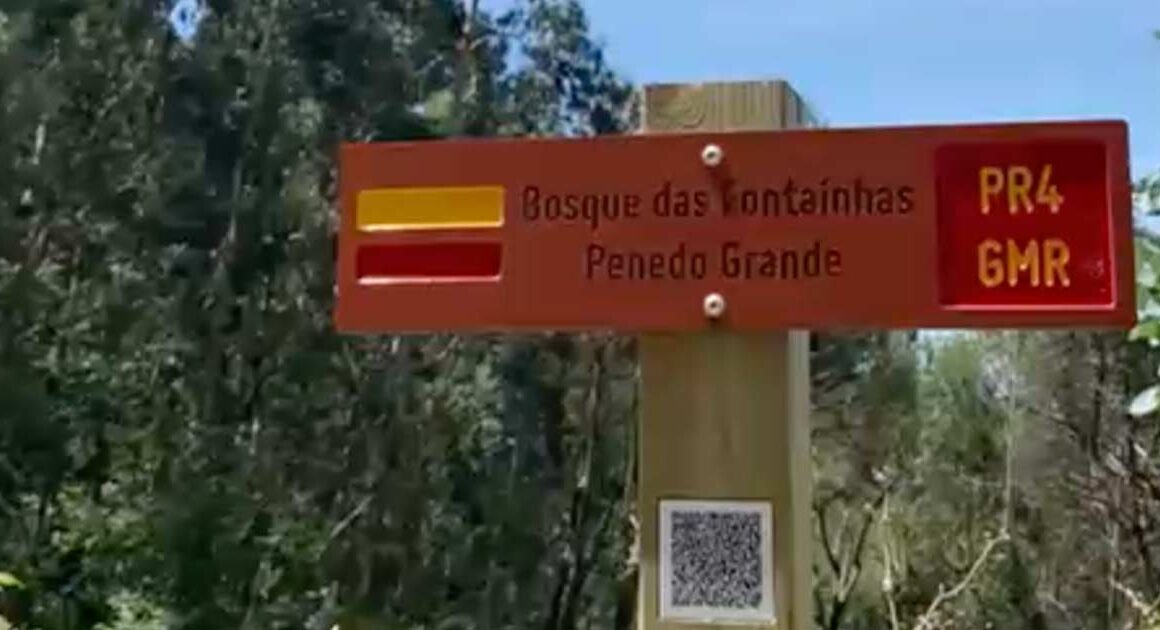 Há um novo percurso pedestre que atravessa o "silêncio da natureza" em guimarães