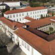 Guimarães abate três árvores na cidade por razões de segurança