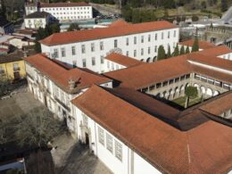 Guimarães abate três árvores na cidade por razões de segurança