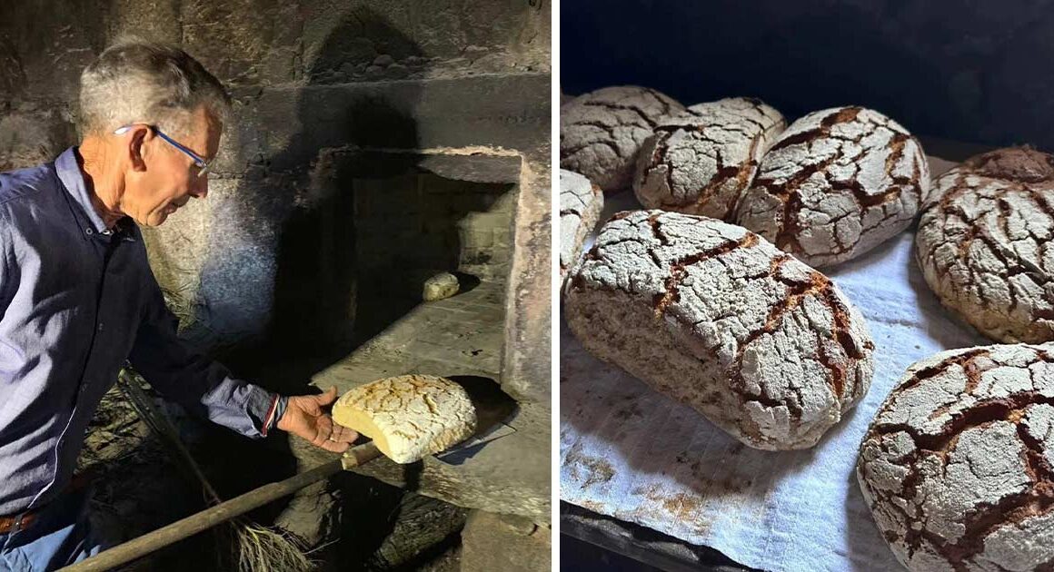 Fazer pão à moda antiga na serra da cabreira em vieira do minho