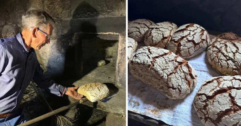 Fazer pão à moda antiga na serra da cabreira em vieira do minho