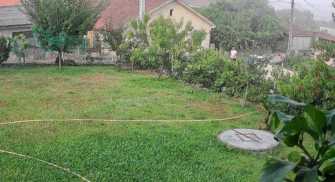 Rouba cadela que vale centenas de euros de casa em barcelos (e fica tudo gravado)