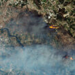 Chamas dos incêndios no norte são visíveis a partir do espaço