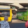 País - autocarro desgovernado sem motorista destrói montra